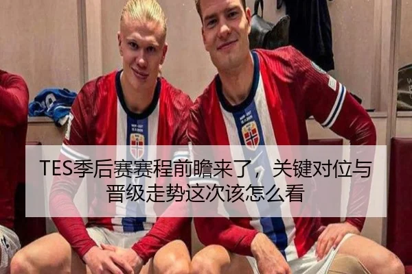 TES季后赛赛程前瞻来了，关键对位与晋级走势这次该怎么看